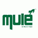 Mule Lighting