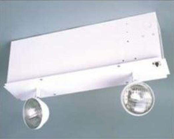 DS2E27 Recessed Emergency Light