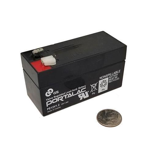 PE12V1.2 GS Battery