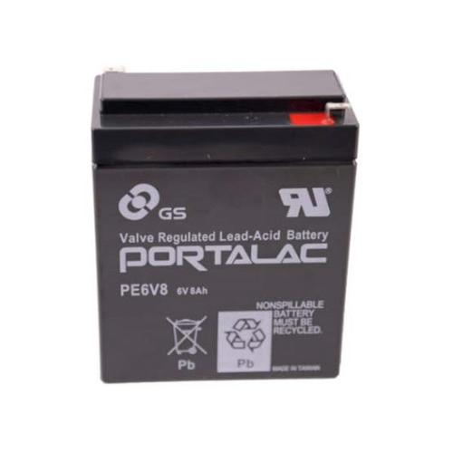 PE6V8 GS Battery