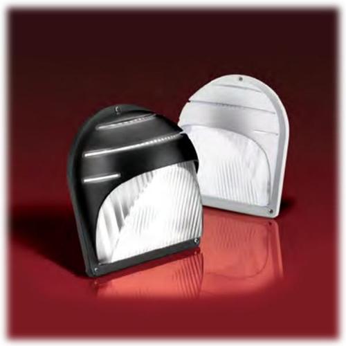 Saf-T-Ray Series Outdoor Remote Light