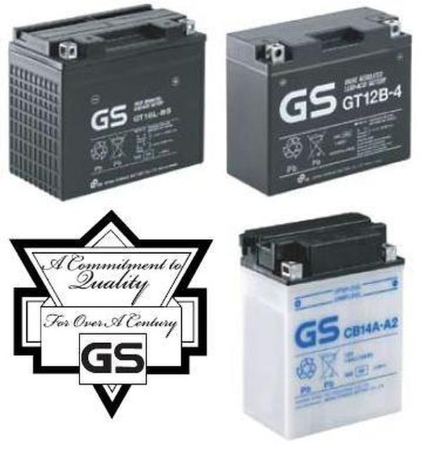 12N10-3B  GS Battery