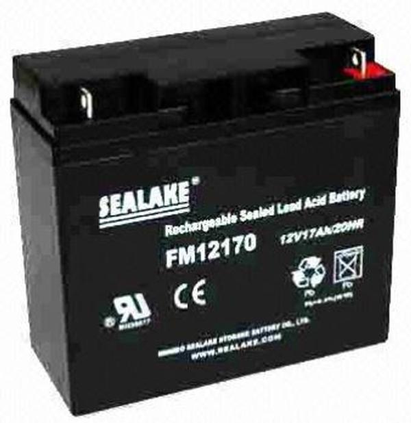 FM12170 Sealake Replacement