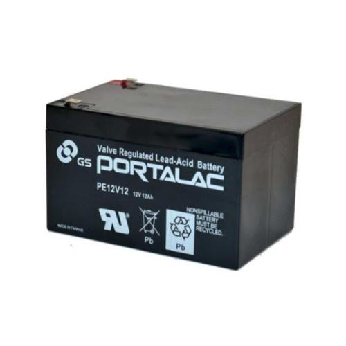 PE12V12 GS Battery