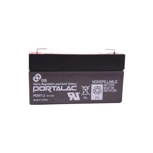 PE6V1.2 GS Battery