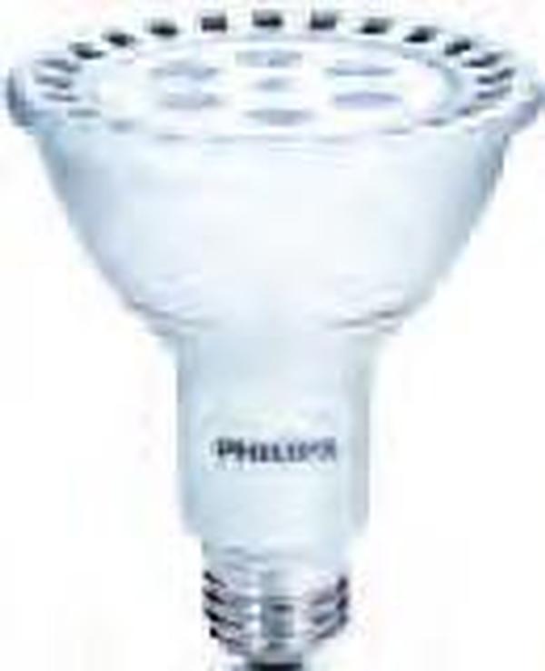 42049-7 - 13PAR30L/END/F36 2700 DIM 6/1