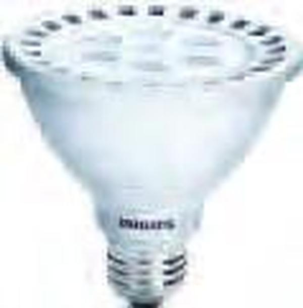 42347-5 - 13PAR30S/END/F36 3000 DIM 6/1