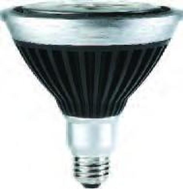 40815-3 - 16PAR38/END/F22 2700 DIM