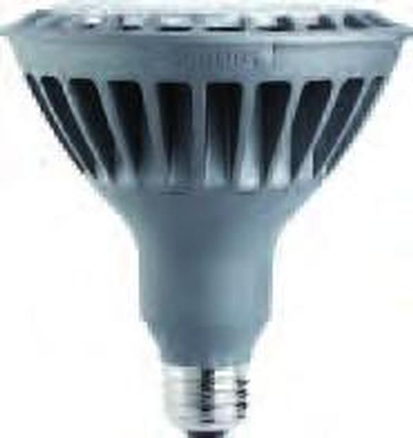42088-5 - 18PAR38/END/F36 2700 DIM