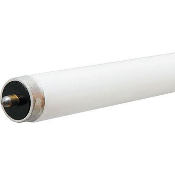 66890 - F96T8/XL/SP65/WMP