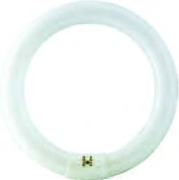 24982-1 - FC6T9/COOL WHITE PLUS