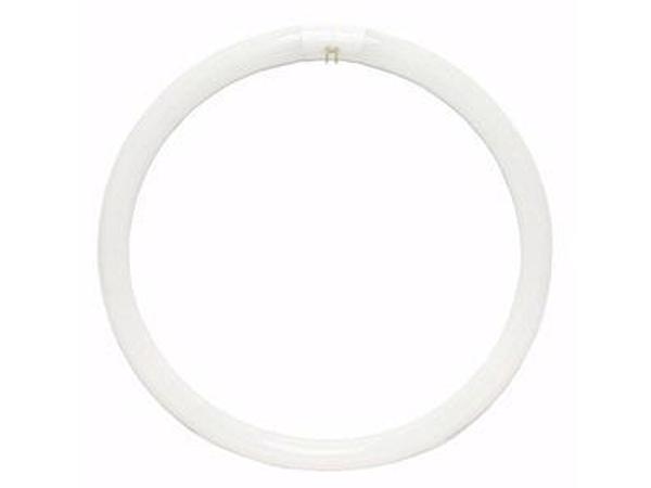 33893 - FC16T9/CW