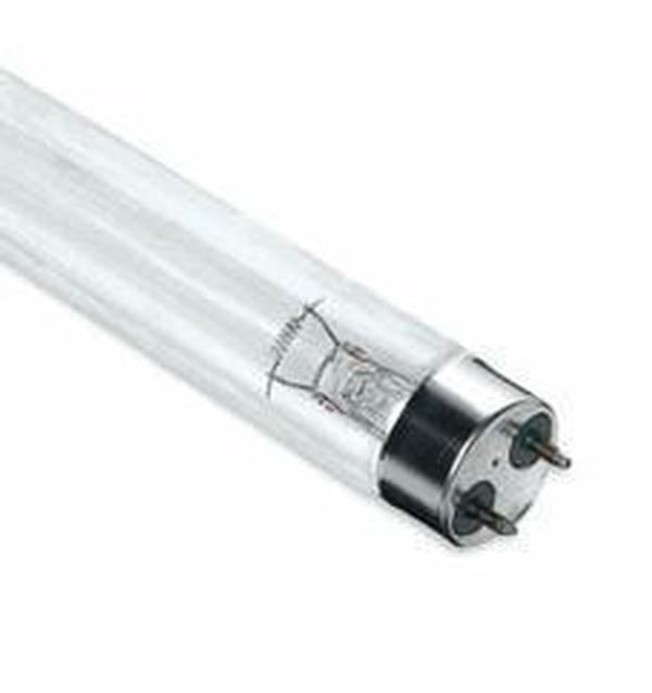 29532 - G40T10