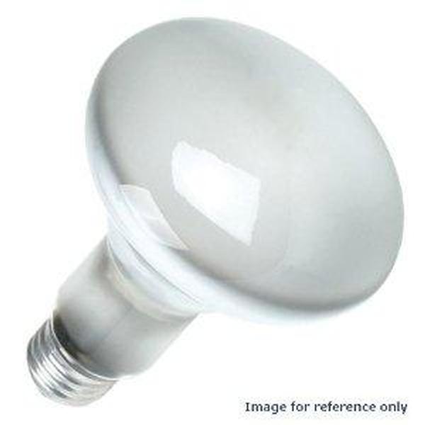 13129 - 65BR30/FL