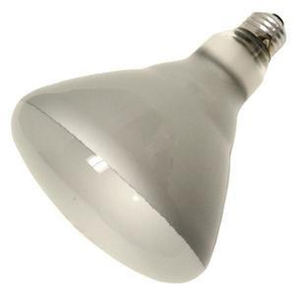 15678 - 65BR/FL/RP