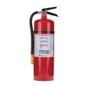 Pro 460 10 lb ABC Consumer Fire Extinguisher