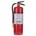 Pro 10 MP Fire Extinguisher
