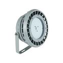 CASTEX 300 Series Hazardous High Bay Light