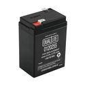 0120255 Dual-Lite Battery