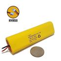 4.8V 650mAh D-AA650Bx4