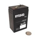 HYS 645