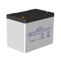 XP12-300 12 Volt 82 Ah Battery