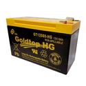 GT12080-HG GS Battery