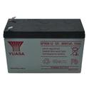 NPW36-12 Battery