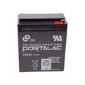 PE6V8 GS Battery