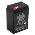 0120255 Dual-Lite Battery