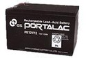 PE12V10 GS Battery