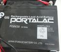 PE6V20 Battery