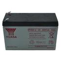 NPW36-12 Battery