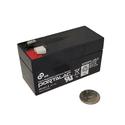 PE12V1.2 GS Battery
