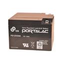 PE12V24 GS Battery
