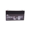 PE6V1.2 GS Battery