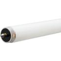 66890 - F96T8/XL/SP65/WMP