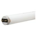 15876 - G20T10
