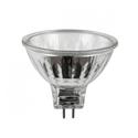 EYC - MR-16 Type Bulb